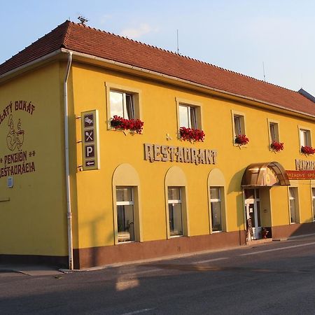 Penzion Zlaty Dukat Zvolenská Slatina Eksteriør bilde